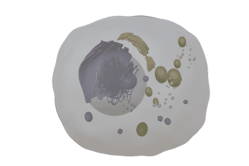 Cell