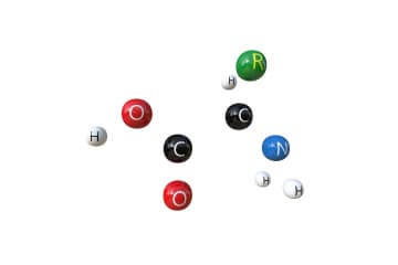 Amino acid molecule