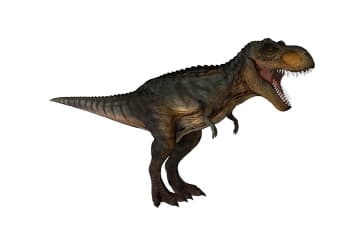 Tyrannosaurus rex