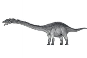 Diplodocus