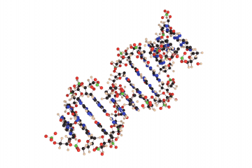 DNA