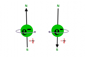 Pauli Exclusion Principle