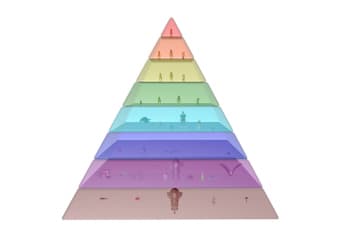 Taxonomic hierarchy (systematics)