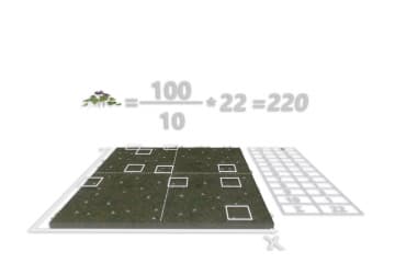 Study of the population of type in their habitat