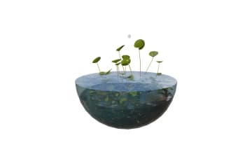 Surface tension