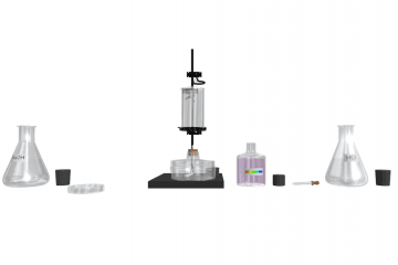 Neutralization reaction. Salt