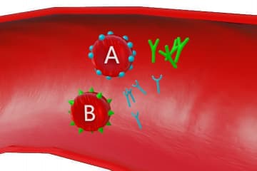 Blood types