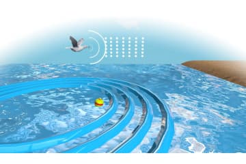 Mechanical waves. Longitudinal and transverse waves