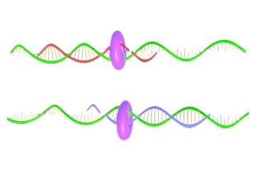 PCR method