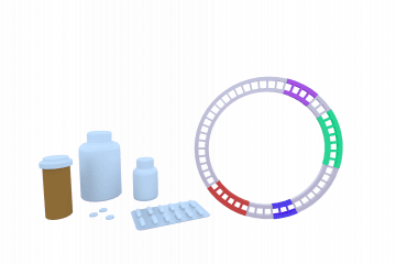 Plasmid