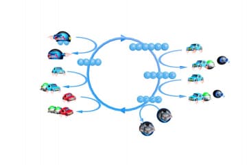 Crebs cycle