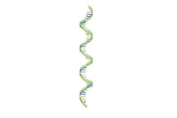 RNA structure