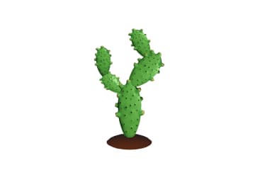 Xerophytic plants