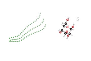Cellulose and glucose