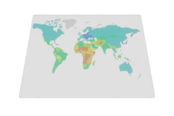 Model of the demographic policy of key countries on the world map