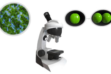 Microscope Resolution and Increase