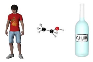 The effect of alcohol on the body