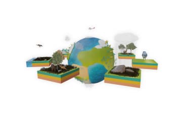Ecology