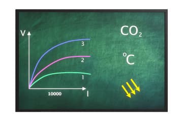 Influence of limiting factors on the intensity of photosynthesis