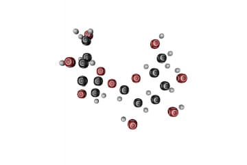 Sucrose C 12 H 22 O 11