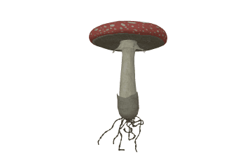 Mushroom