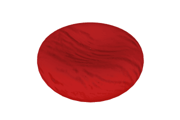 Erythrocyte