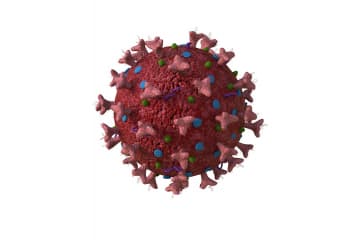 Coronavirus