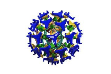 Bluetongue virus