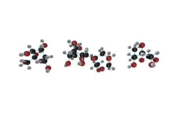 Examples of reducing sugars