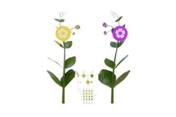 Dihybrid crossing and Mendel’s third law