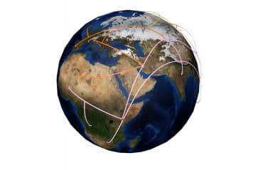 Peoples migration model