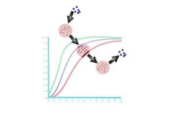 Bohr effect