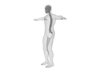Causes Violation of posture and development Flat