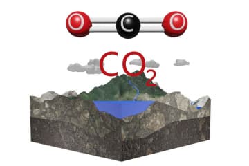 Carbon cycle