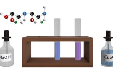 Biuret Test to detect proteins in the solution