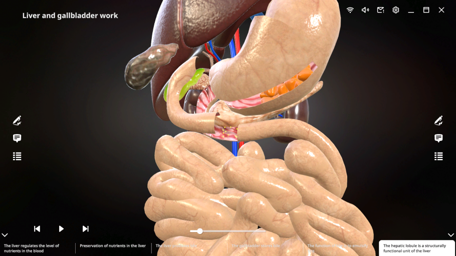 Educator s Corner ROQED educator-s-corner-roqed